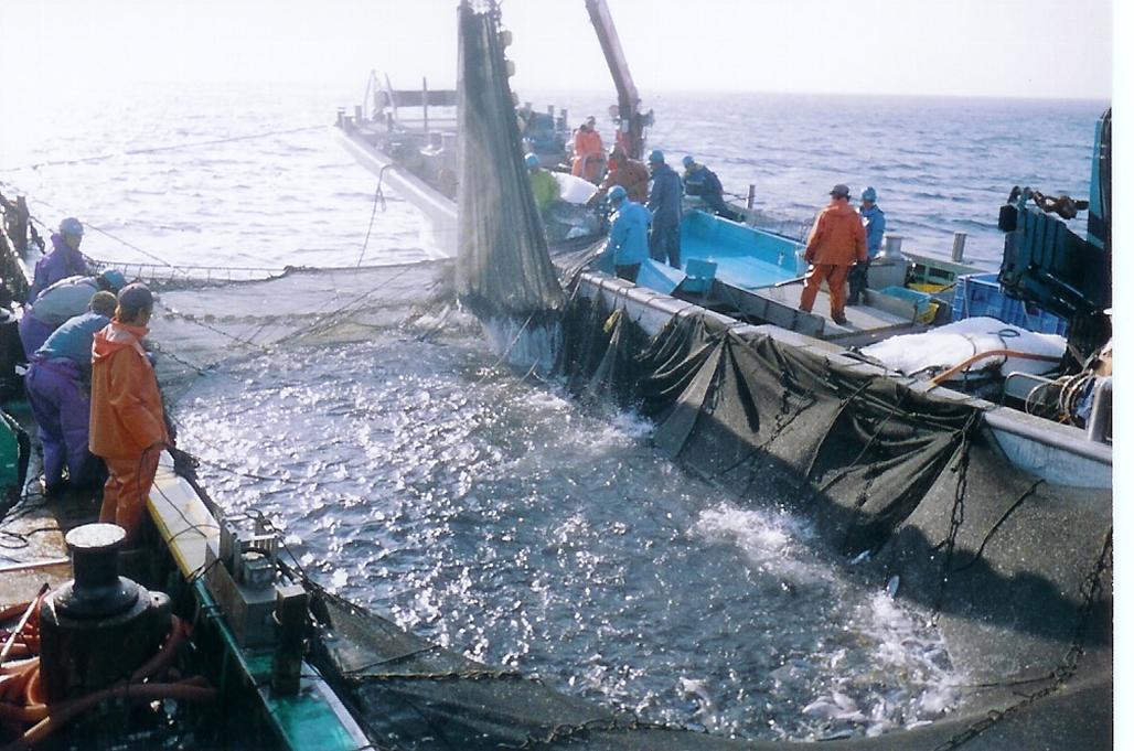有限会社 寺いちの会社ロゴ