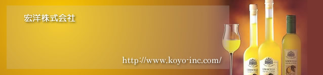 宏洋株式会社の会社ロゴ