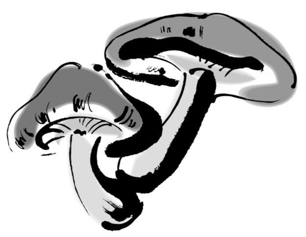 株式会社信栄の会社ロゴ