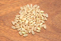 新潟魚沼コシヒカリ