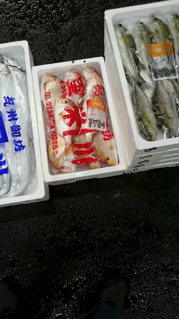 和歌山近海の魚の一部