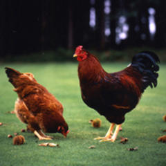 会社の特色・取扱商品のPR画像