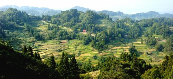 日本の原風景のような土地です。