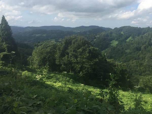綺麗な水と空気、栄養を含んだ赤土の土地です。