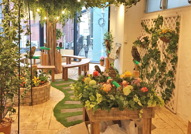 マーケット拡大中のフクロウカフェ。原宿の新店『フクロウのお庭』に開業までの道のりを取材！