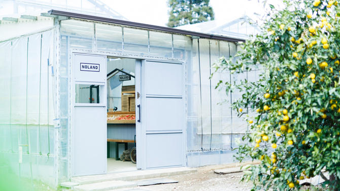 人気トマト直売所の代表は25歳。大卒で就農・独立し、開業するまでの道のりを取材！