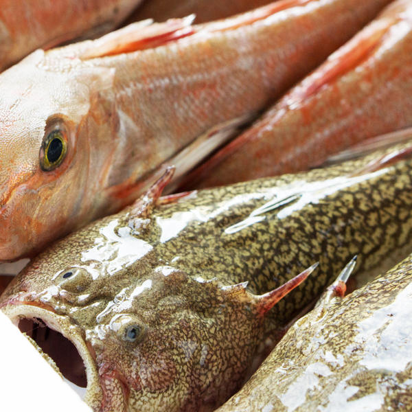 株式会社フーディソン