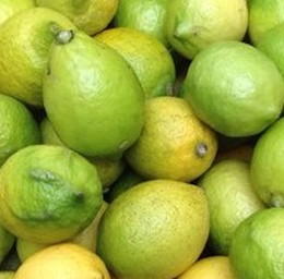 有機レモン（国産レモン）