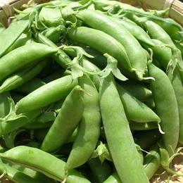 有機スナックエンドウ