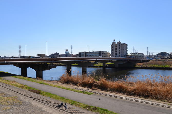 駅から遠くに人気店があるのはなぜ？再開発や新駅開業予定で注目の綱島エリアの街事情と飲食店出店のポイント