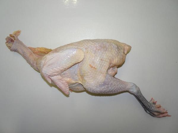 写真は東京シャモです。銘柄鶏・地鶏・シャモ　各地からお取り寄せいたします。