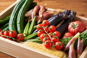 カラフル夏野菜で前菜・副菜・付け合わせを開発！おすすめメニュー7選