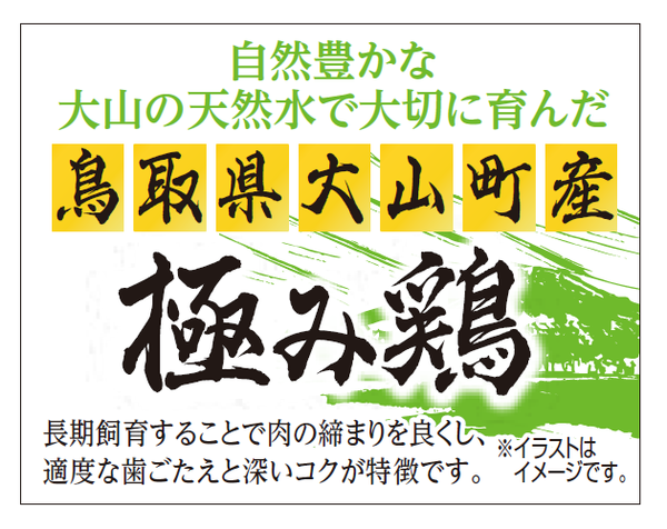【銘柄鶏】鳥取県大山町産　極み鶏｜大山の天然水が育んだ最上級のプレミアム銘柄鶏